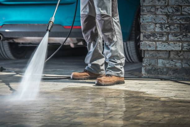 Best Roof Washing  in Winchester, CA
